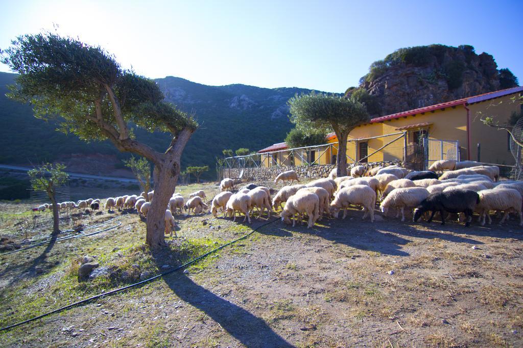 Agriturismo Sa Rocca Iglesias Exterior foto
